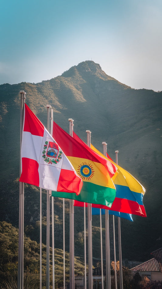 Top 10 Latin American Flags to Celebrate Your Heritage