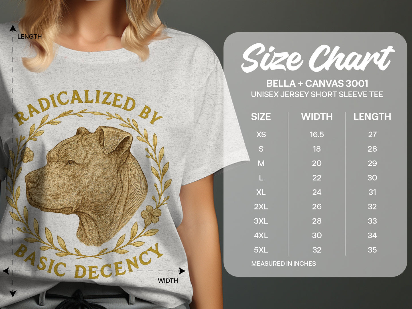 Radicalized By Basic Decency T-Shirt product