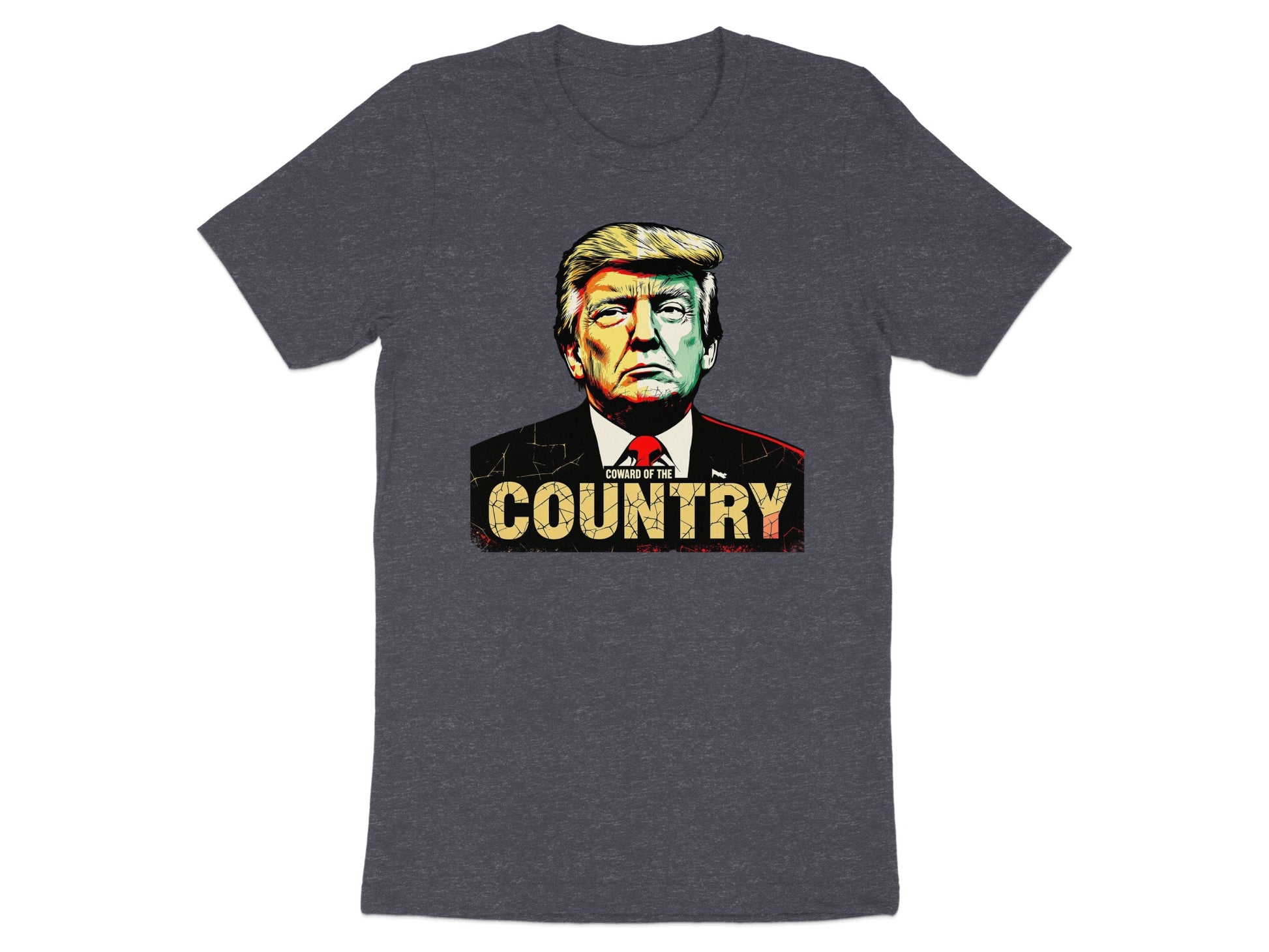 Country Graphic Donald Trump T-Shirt product type