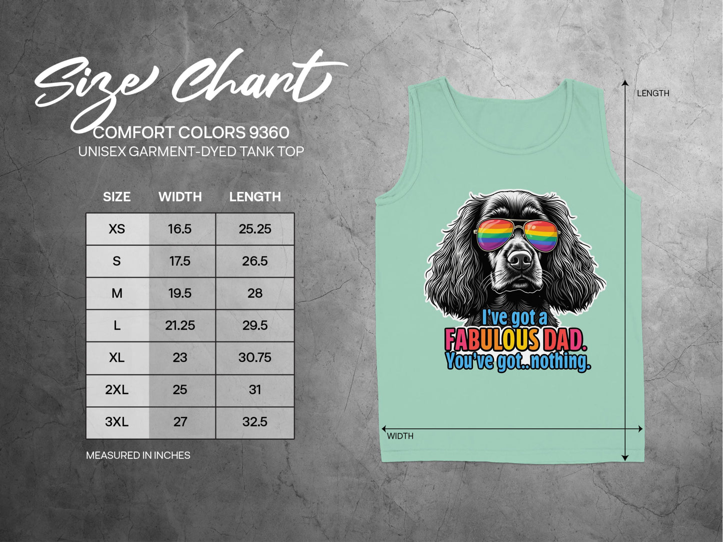 I've Got a Fabulous Dad Rainbow Dog Tank Top product