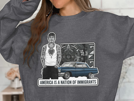 America Is A Nation Immigrants sweatshirt