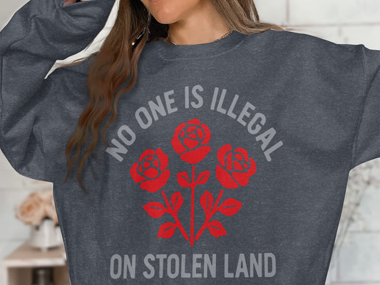 No One Is Illegal On Stolen Land Graphic Sweatshirt