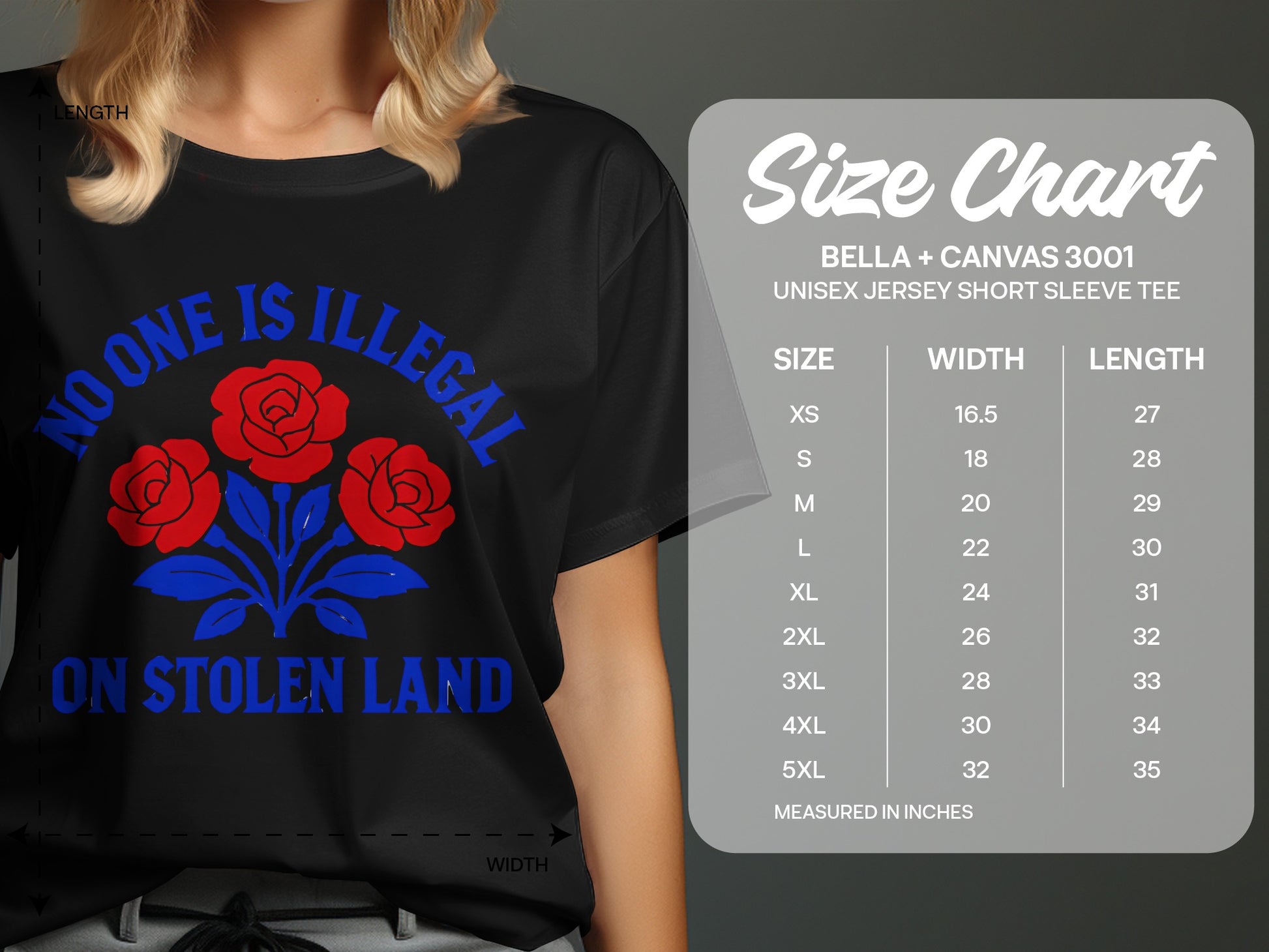 No One Is Illegal On Stolen Land product type