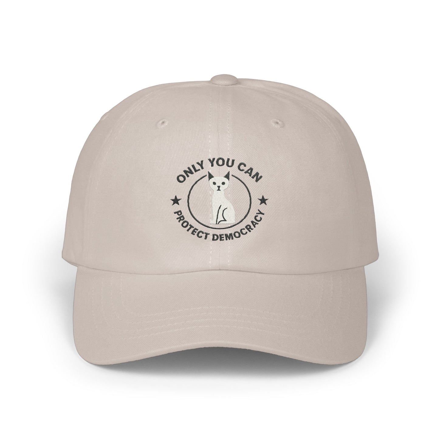 Only You Can Protect Democracy Baseball Cap product