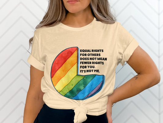 Equal Rights Rainbow Phrase Graphic Tee product