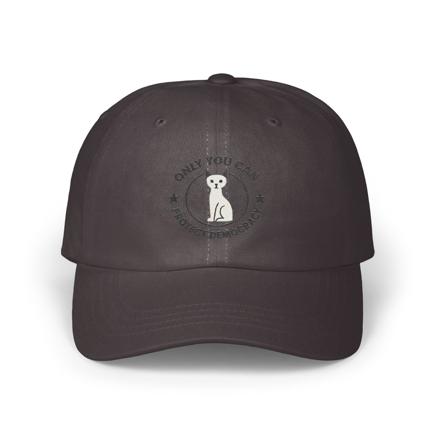 Only You Can Protect Democracy Baseball Cap product