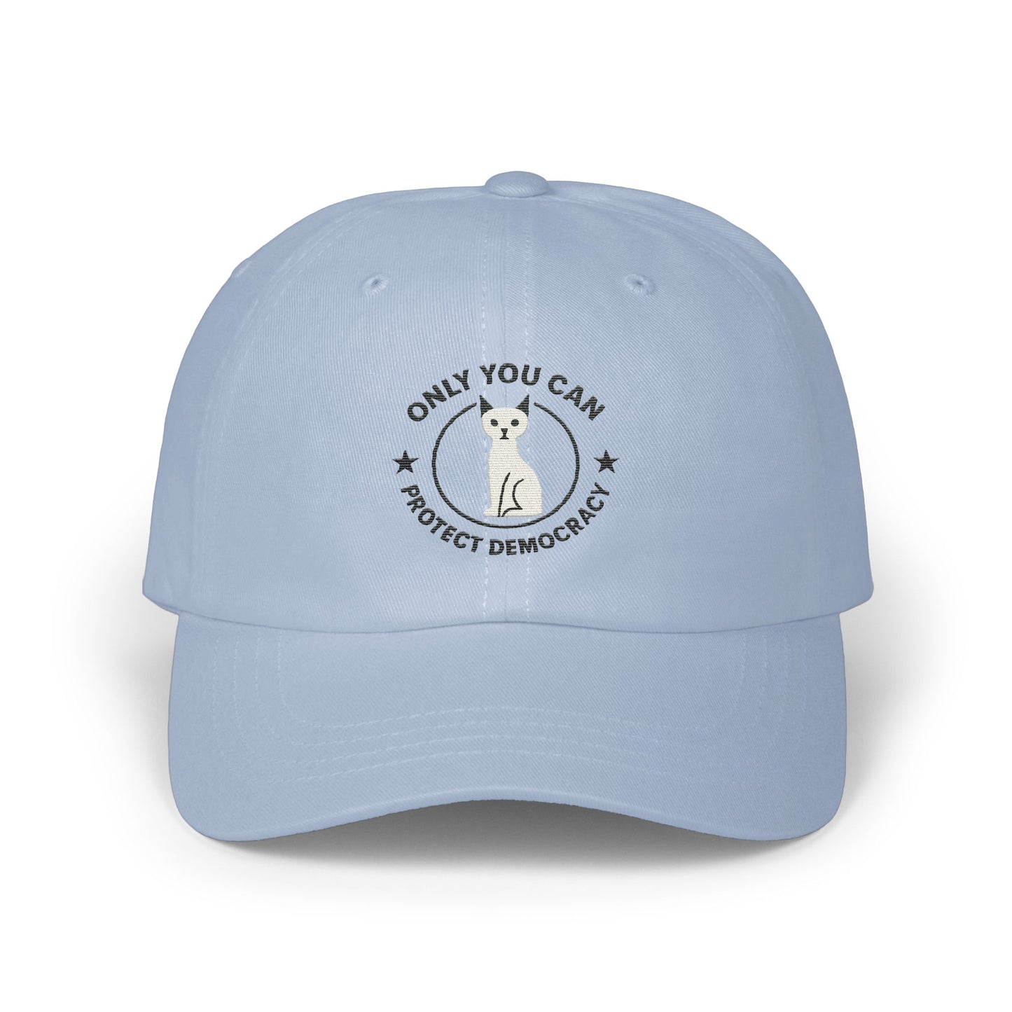 Only You Can Protect Democracy Hat product type