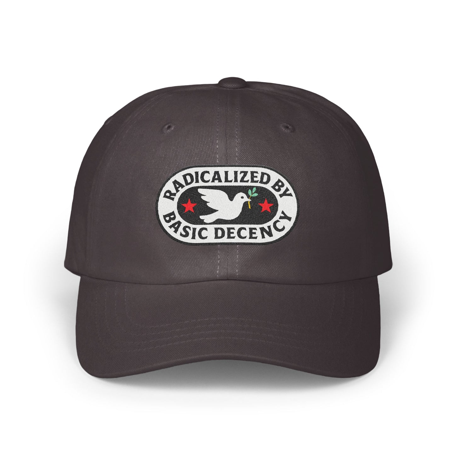 Radicalized By Basic Decency Hat product type