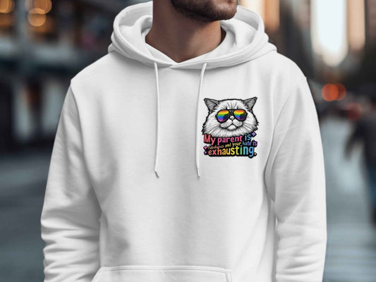 Pride Hoodie with Fabulous Rainbow Cat Quote