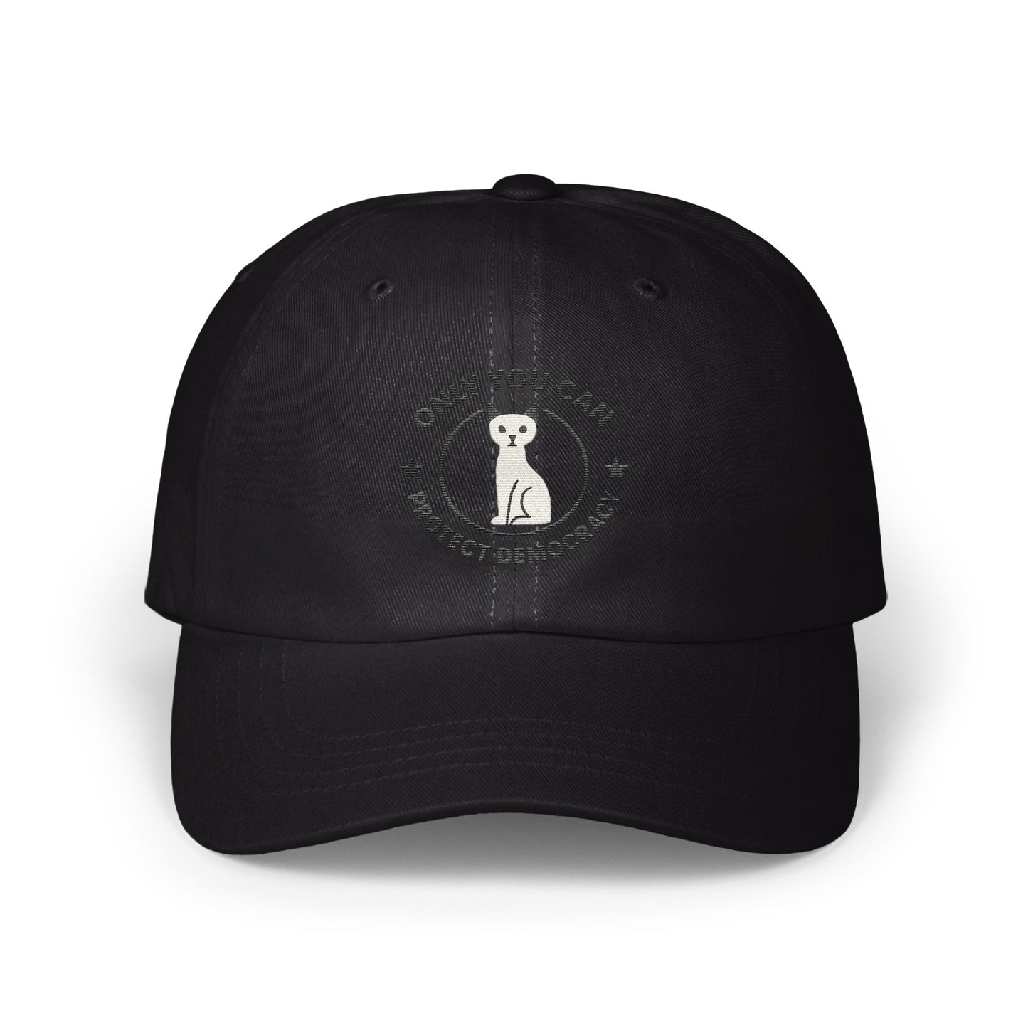 Protect Democracy Only You Can Baseball Cap product