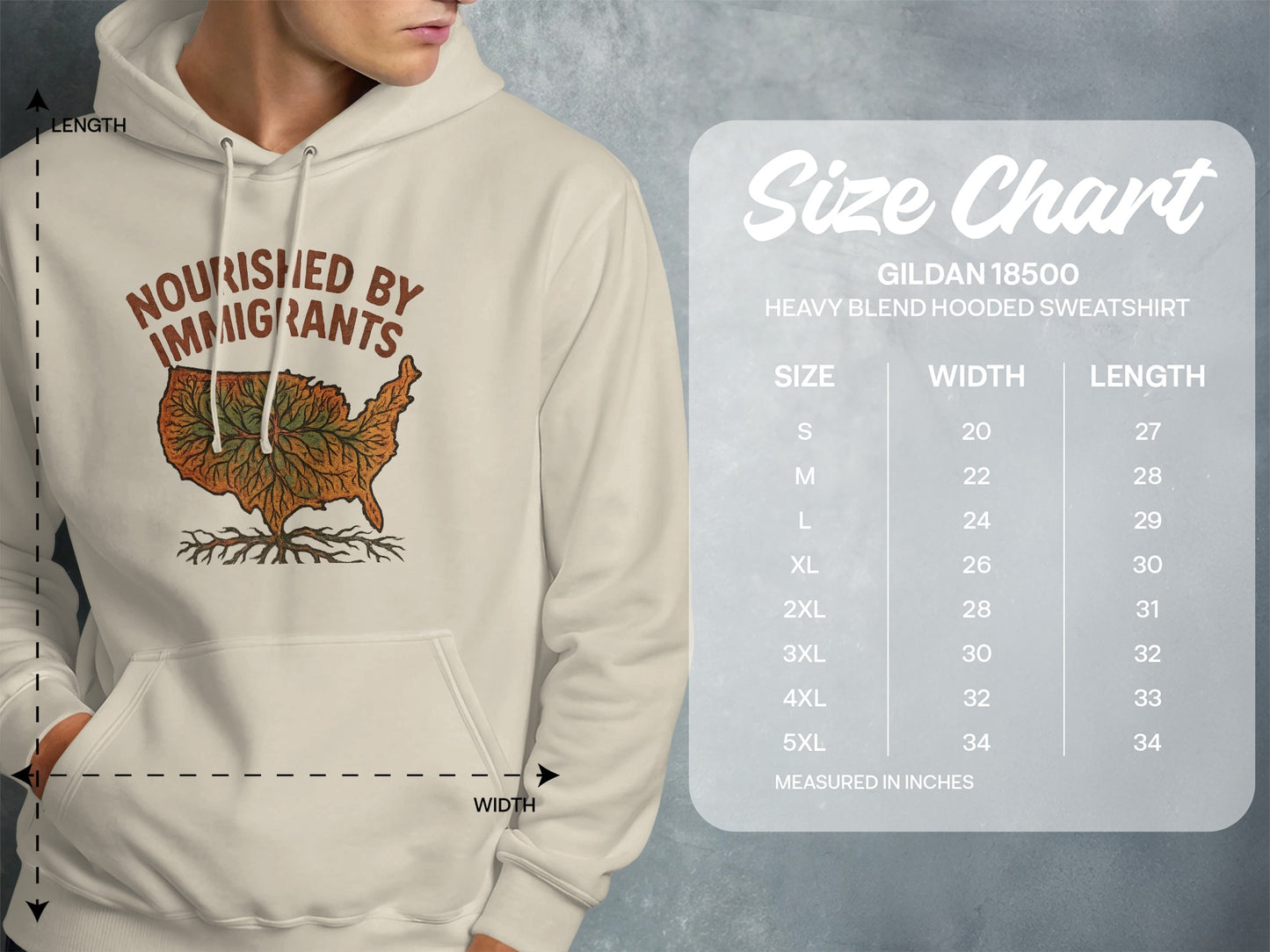 Nourished by Immigrants Graphic Hooded Sweatshirt product type