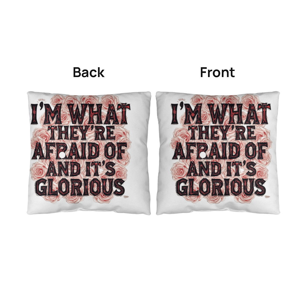 PILLOW lgb