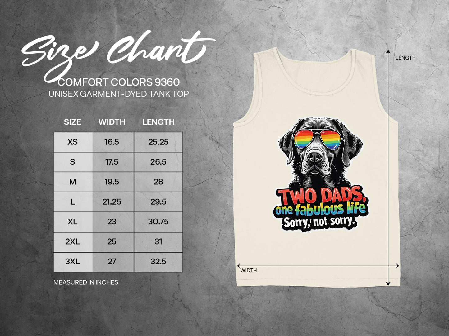 Two Dads One Fabulous Life Tank Top product type