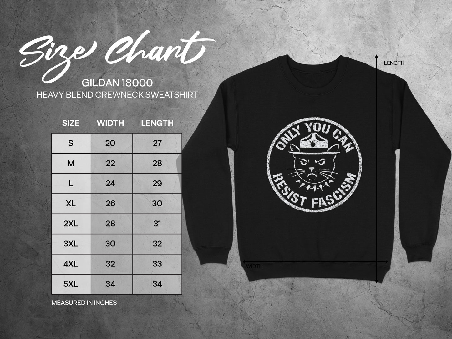 Only You Can Resist Fascism Graphic Sweatshirt product type