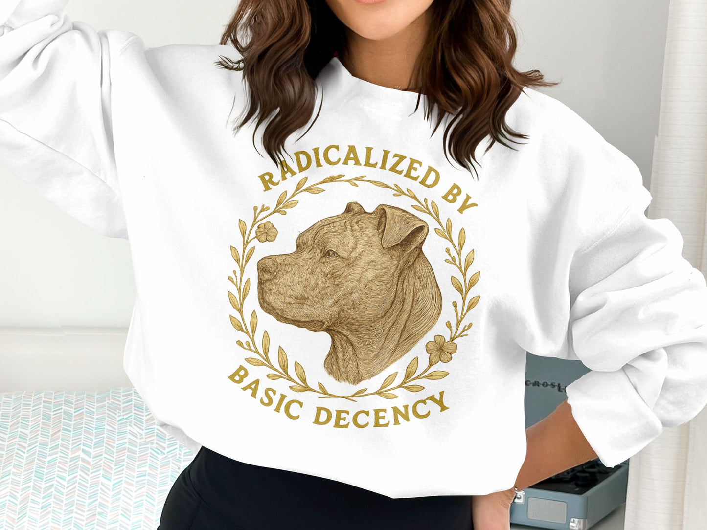 Radicalized By Basic Decency Sweatshirt product
