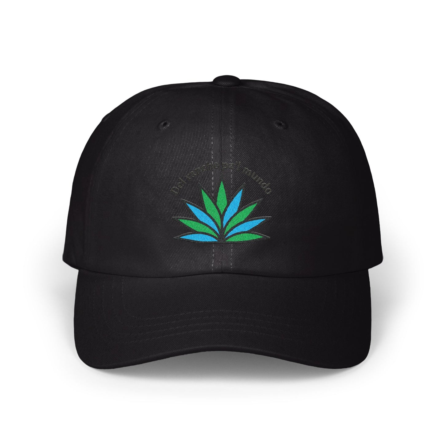 Stylish Embroidered Black Hat for Trendy Fashion product type