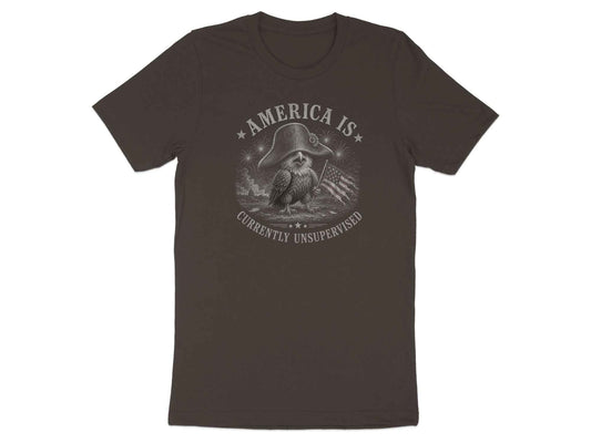 Unsupervised Nation Eagle Graphic T-Shirt