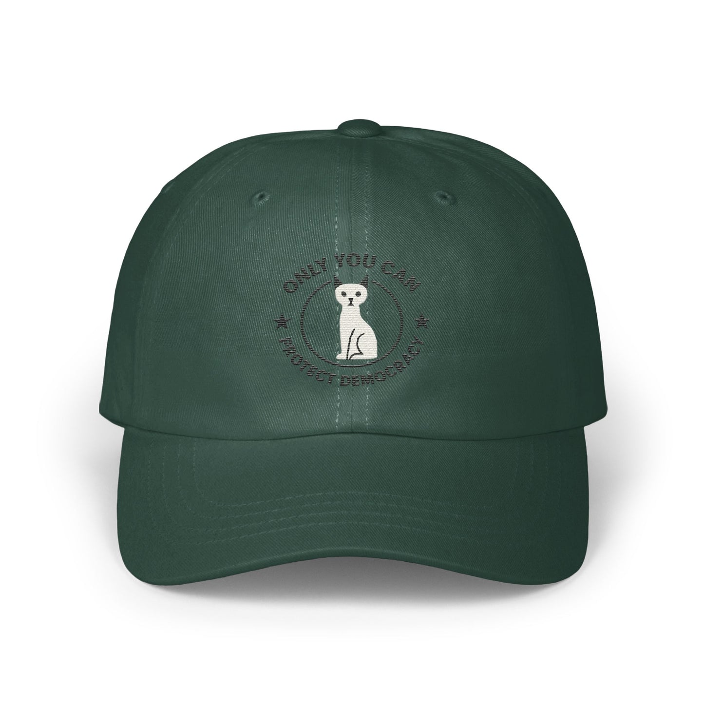 Only You Can Protect Democracy Hat product type