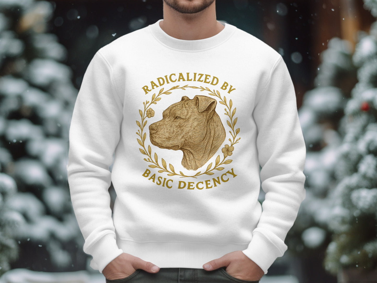 Radicalized by Basic Decency Sweatshirt product type