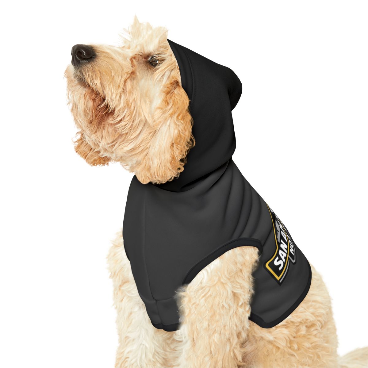 Stylish Black Dog Hoodie With Unique Design for Canines