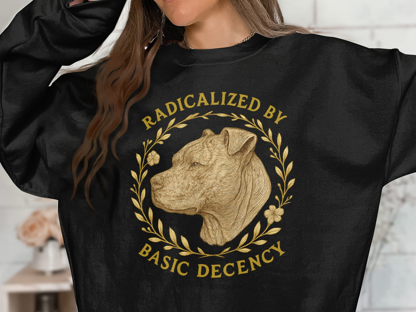Radicalized By Basic Decency Sweatshirt product type