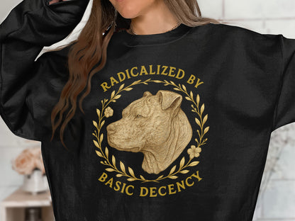 Radicalized By Basic Decency Sweatshirt product type