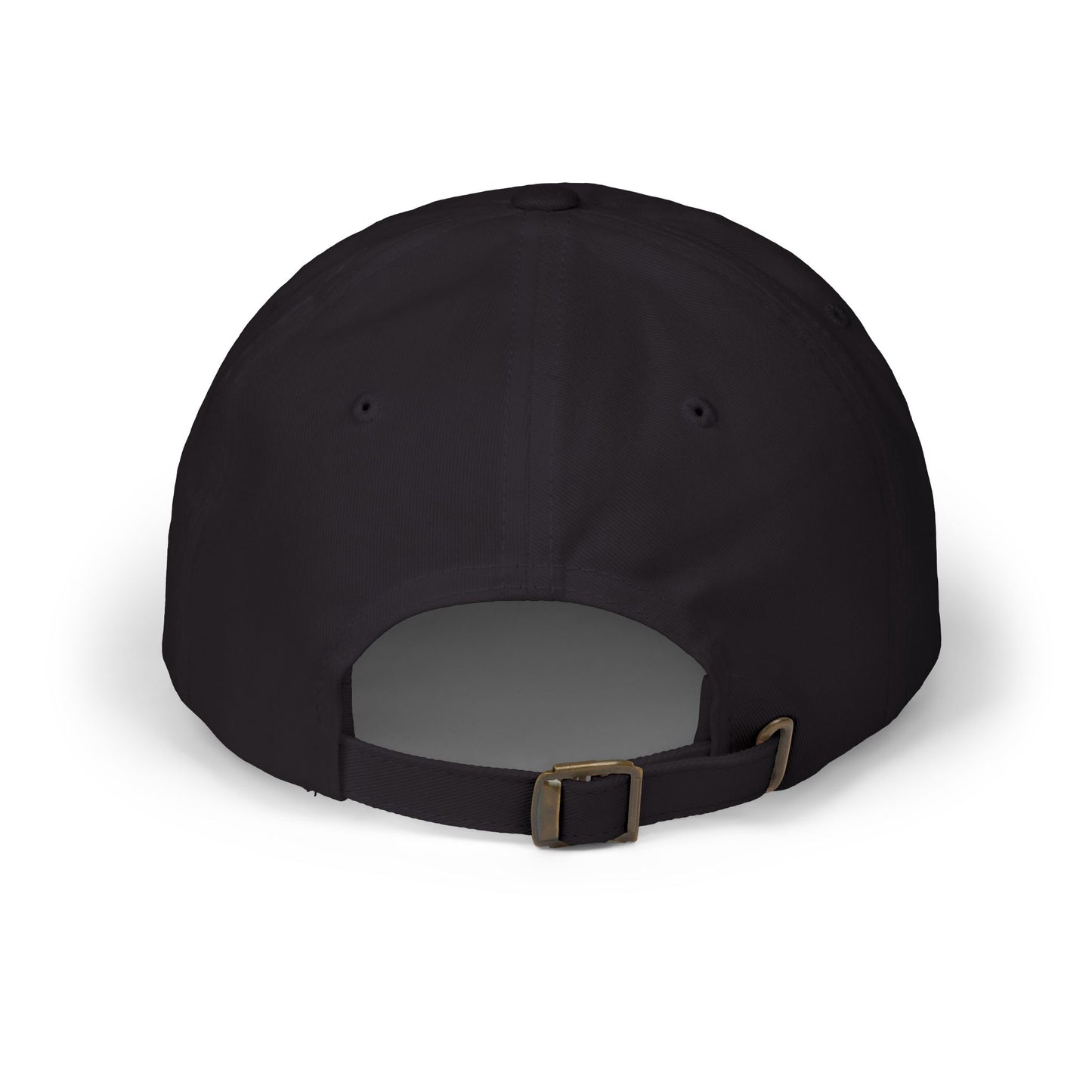 FDT Embroidery Hat Anti Trump Protest Hat