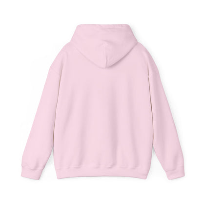 Pride hoodie Born to Be Extra Hoodie | Comfortable Unisex Heavy Blend Sweatshirt
