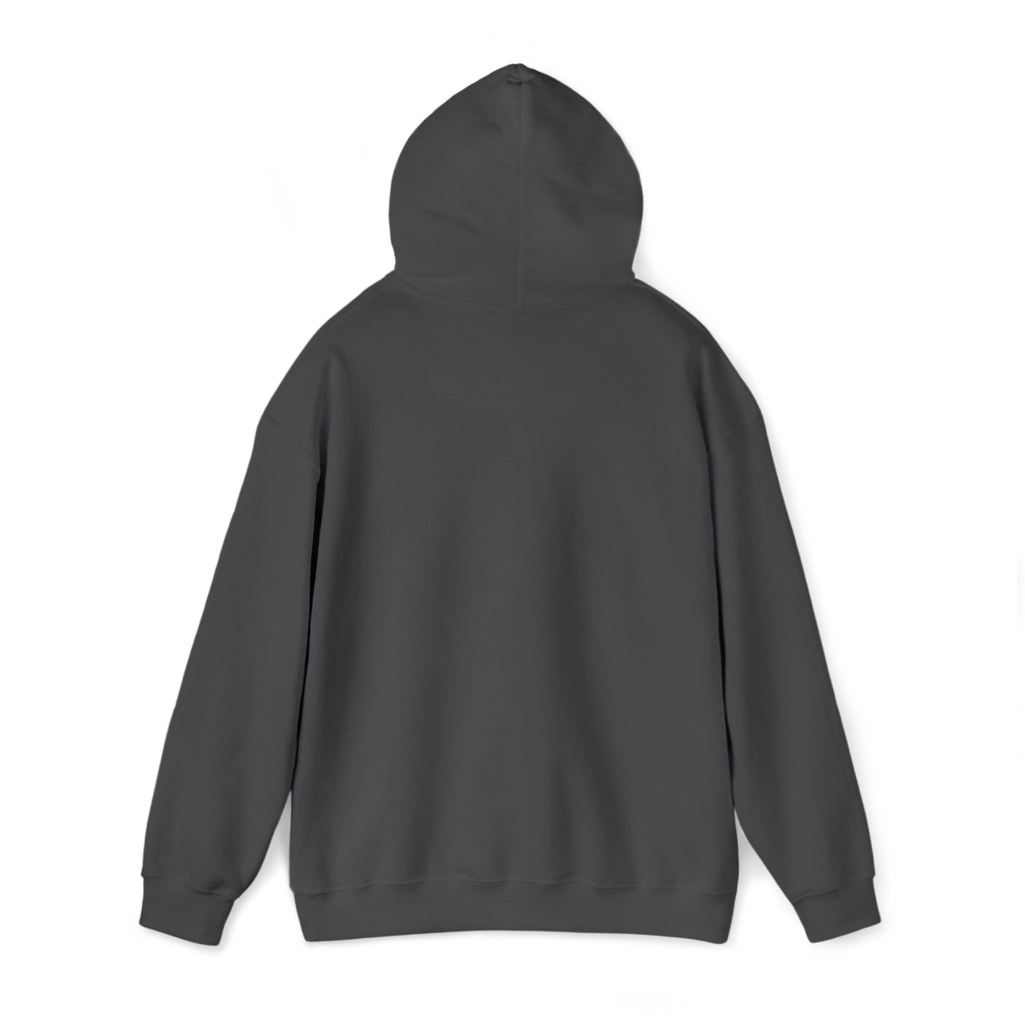 Anti Trump Embroidered Hoodie FDT Political Anti Maga Hoodie