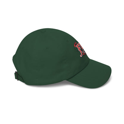 FDT Embroidery Hat Anti Trump Protest Hat