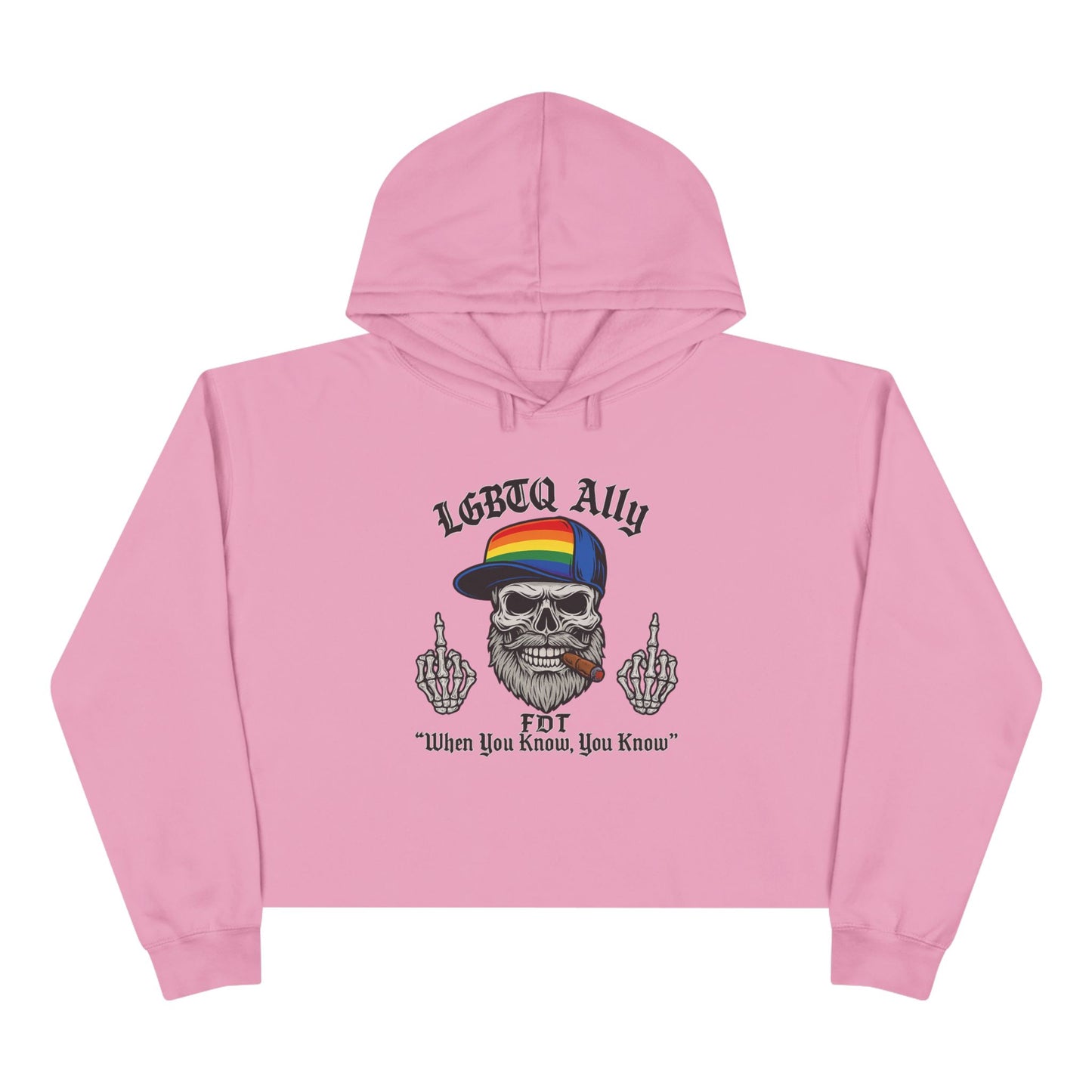 LGBTQ Pride Cat Lover's Crop Hoodie, Funny Hoodie, Gift for Cat Dads, Casual Streetwear, Cozy Hoodie for Pet Owners