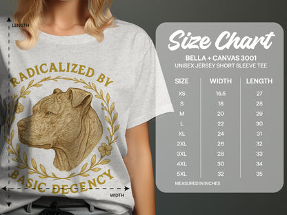 Radicalized By Basic Decency T-Shirt product