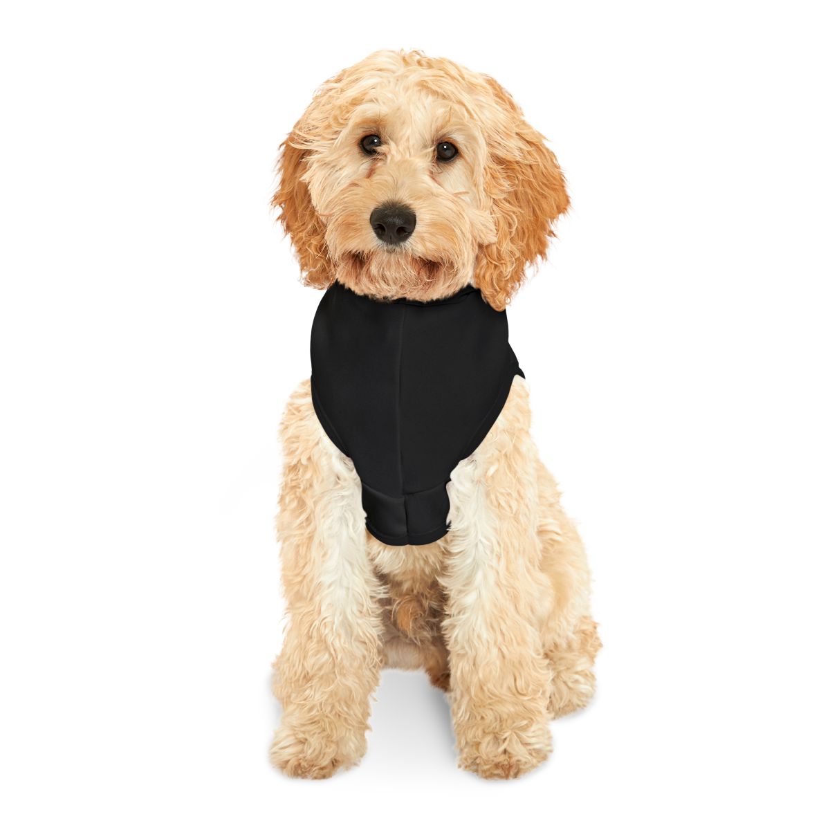 Black Protective Dog Vest for Outdoor Activities