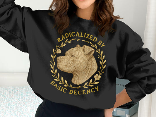 Radicalized By Basic Decency Sweatshirt product type