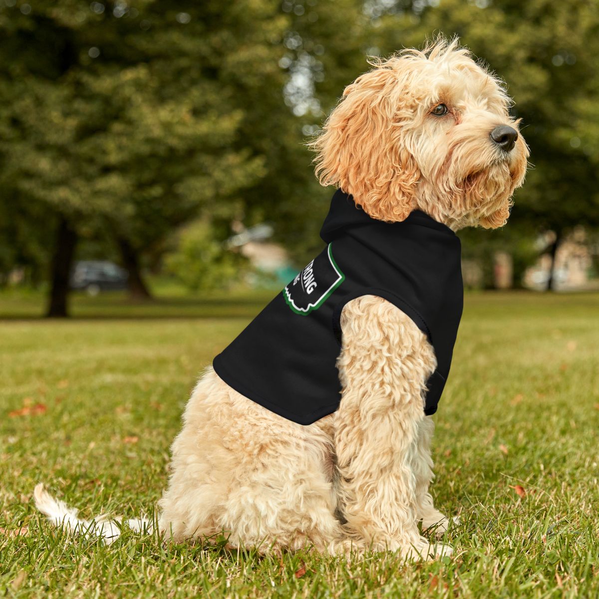 Dog Wearing Black Hoodie Design Pet Apparel