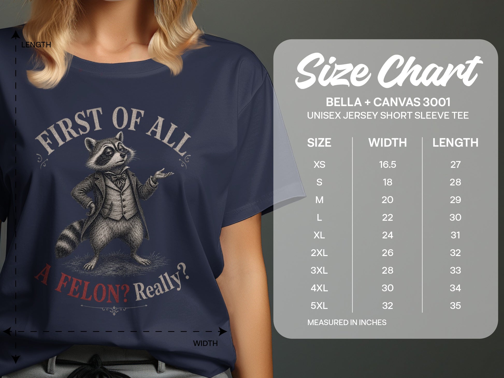 T-shirt size chart with a raccoon illustration and text.
