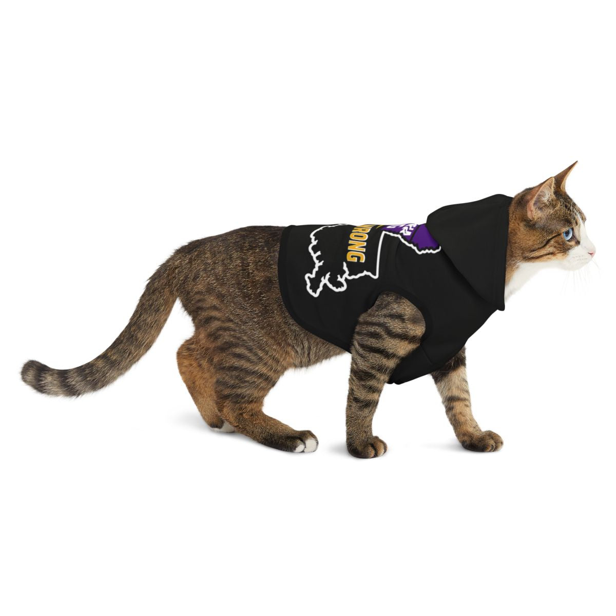 Geaux Strong Louisiana Cat Hoodie Style Apparel