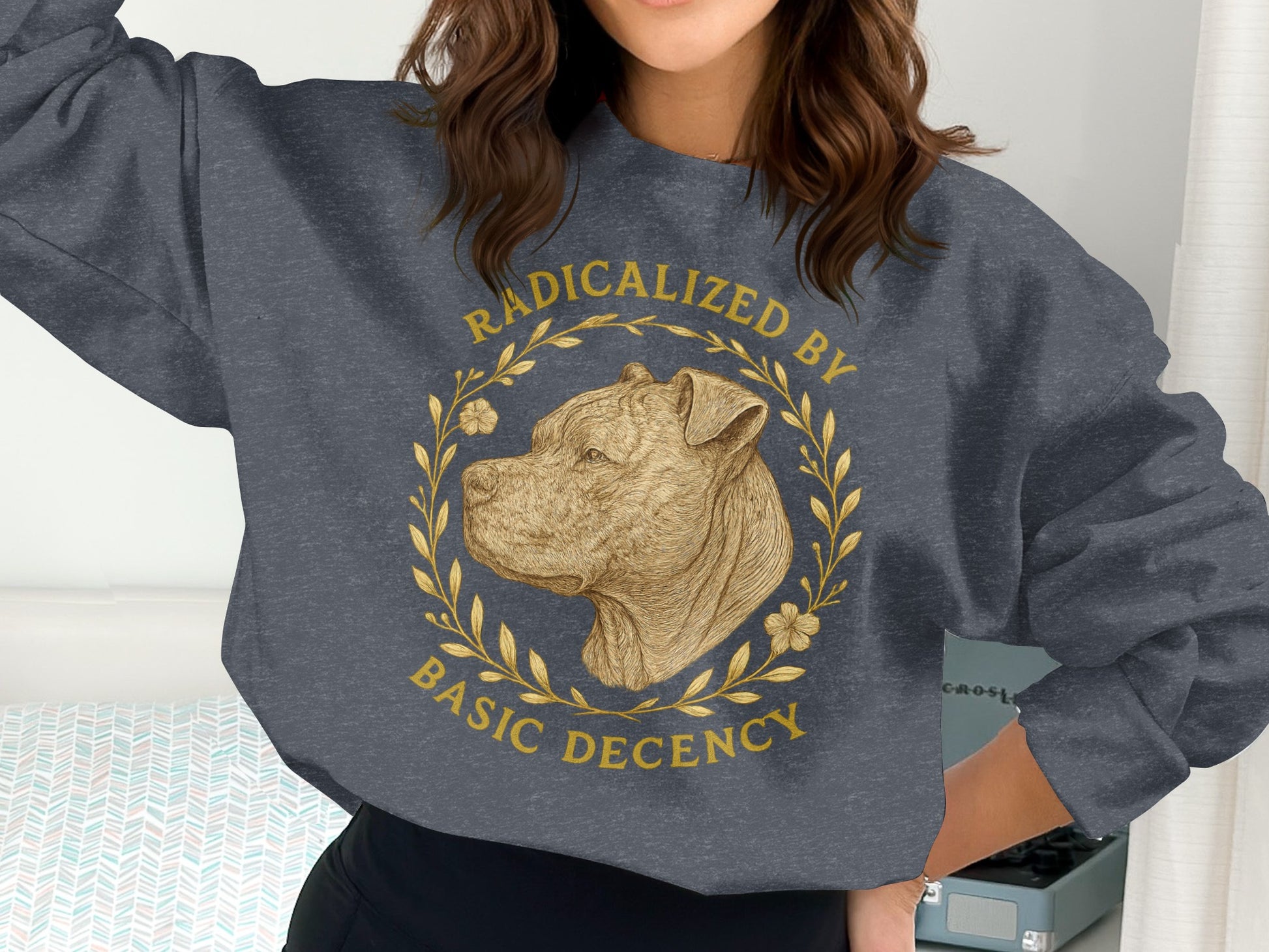 Radicalized by Basic Decency Graphic Sweatshirt Product