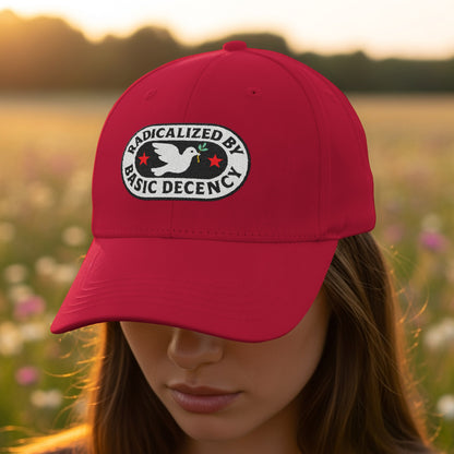 Radicalized by Basic Decency Hat product type