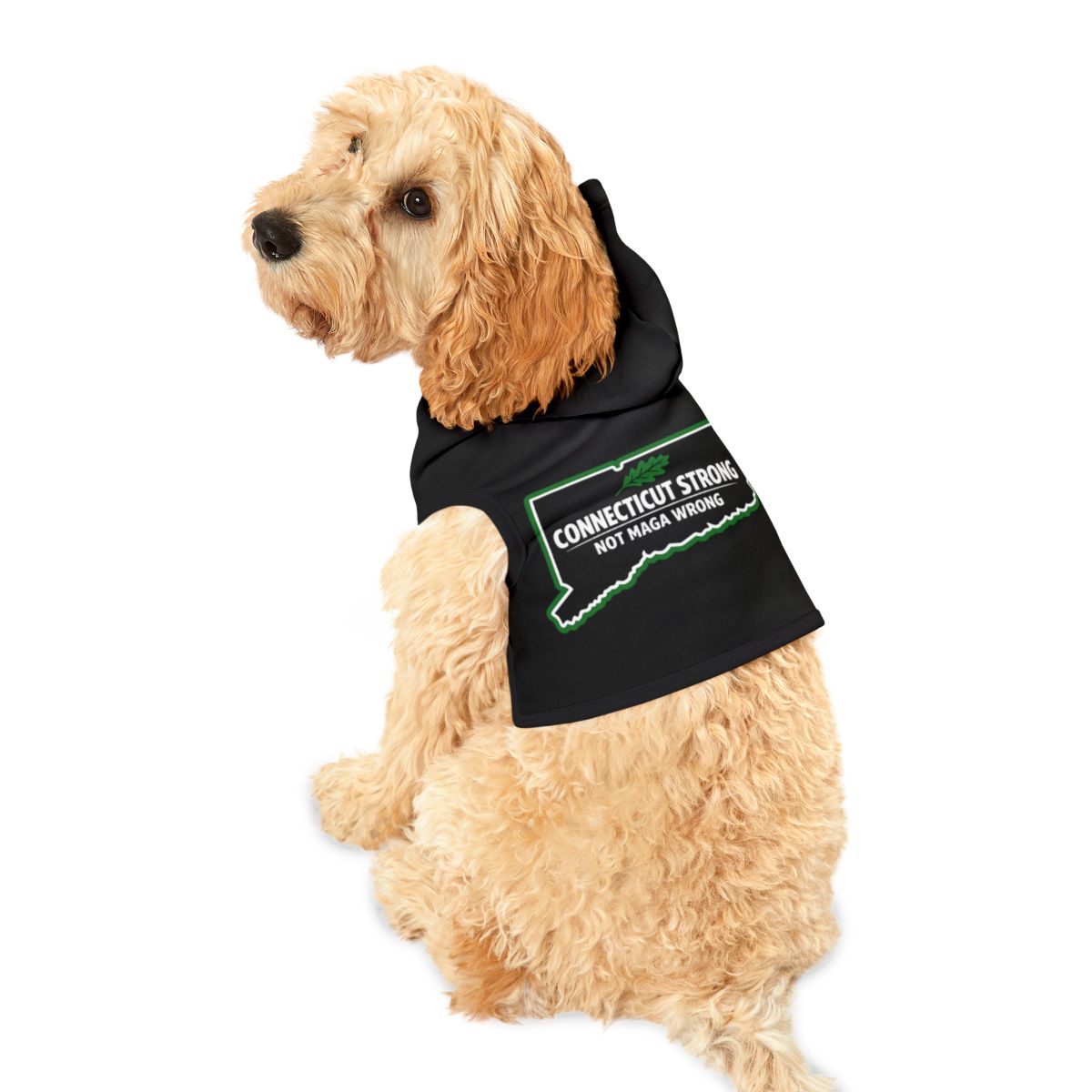 Connecticut Strong Not Maga Wrong Dog Apparel
