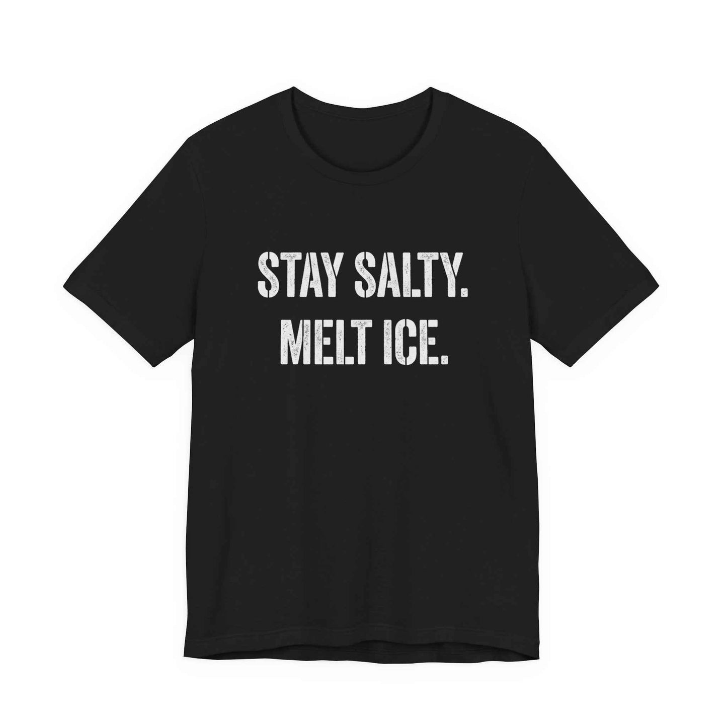 Stay Salty Melt Ice T-Shirts, Funny Sarcastic Quote Tee, Edgy Attitude Graphic Shirt, Humorous Statement T-Shirts, Unique Text Design