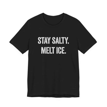 Stay Salty Melt Ice T-Shirts, Funny Sarcastic Quote Tee, Edgy Attitude Graphic Shirt, Humorous Statement T-Shirts, Unique Text Design