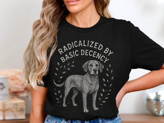 Radicalized By Basic Decency Graphic T-Shirt product