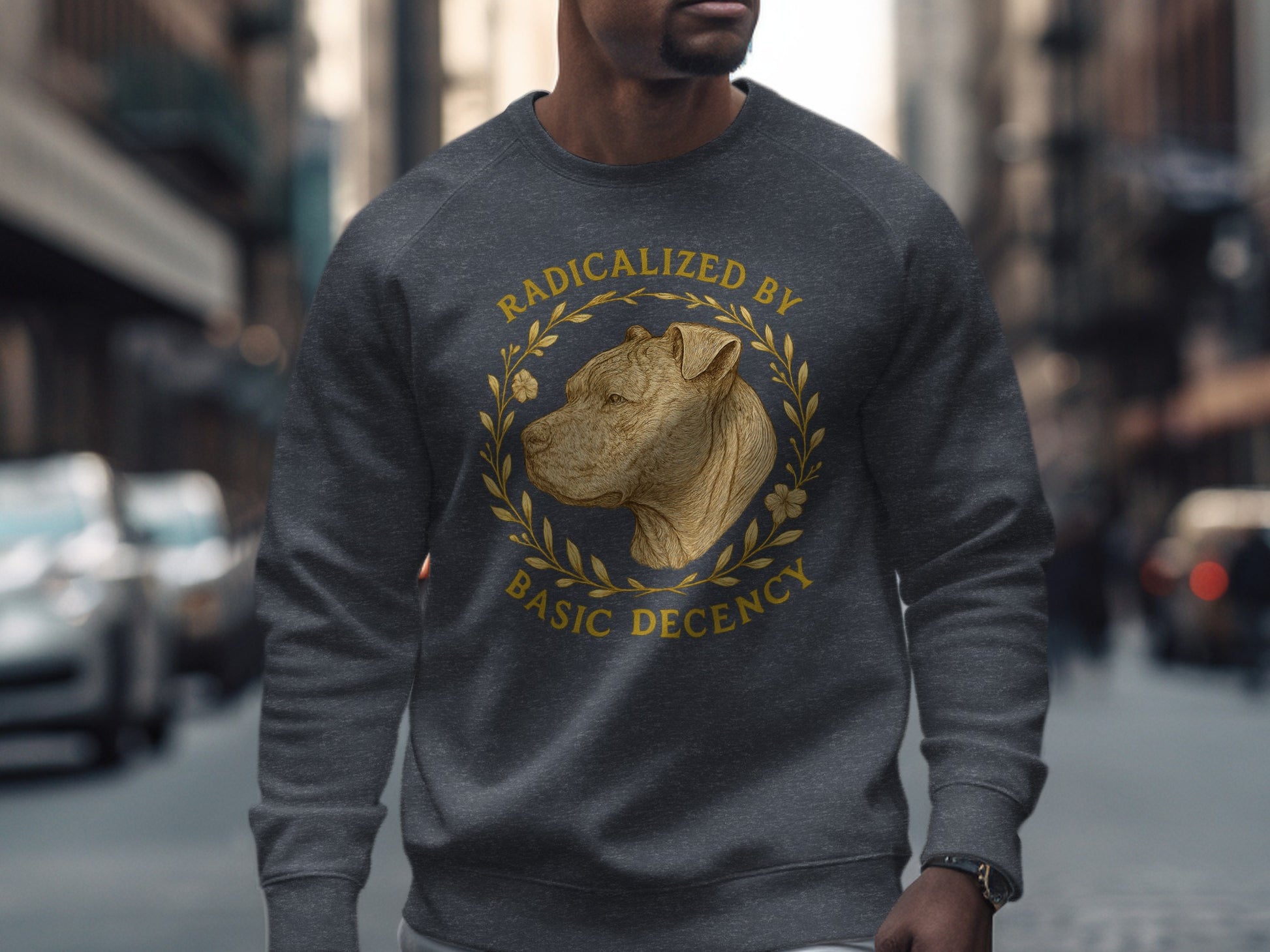 Radicalized By Basic Decency Sweatshirt product type