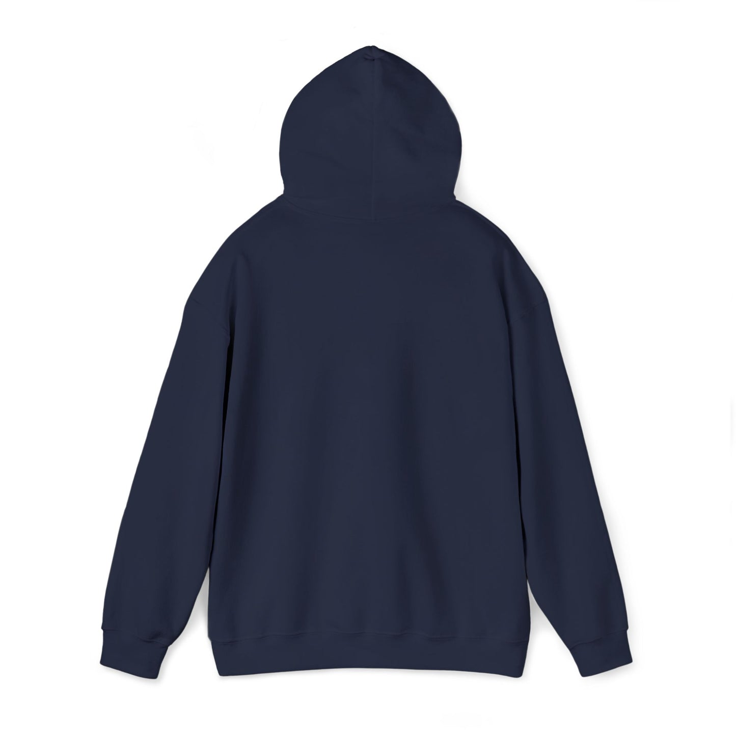 Anti Trump Embroidered Hoodie FDT Political Anti Maga Hoodie