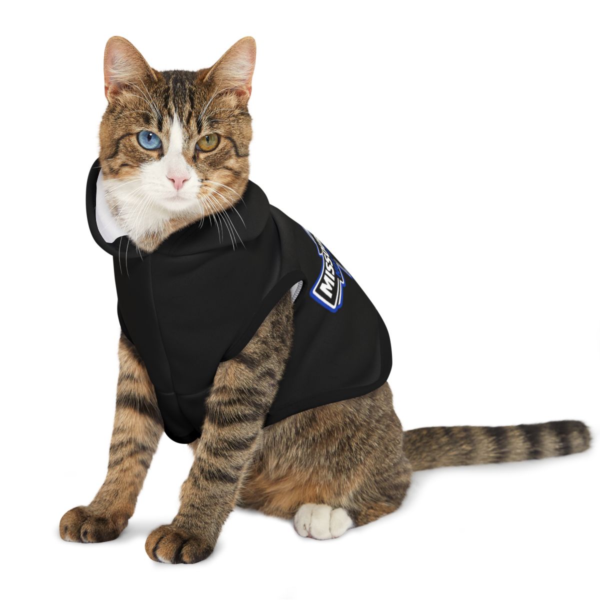 Cozy and Stylish Black Cat Hoodie for Your Feline