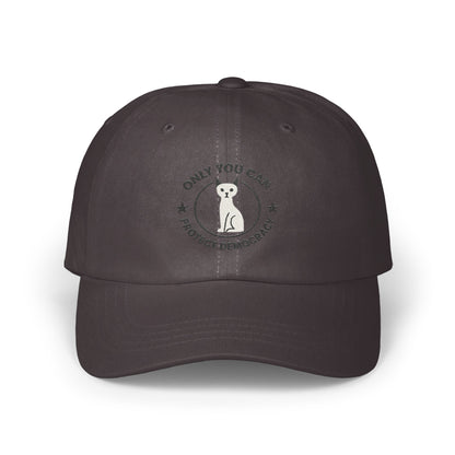 Only You Can Protect Democracy Baseball Cap product