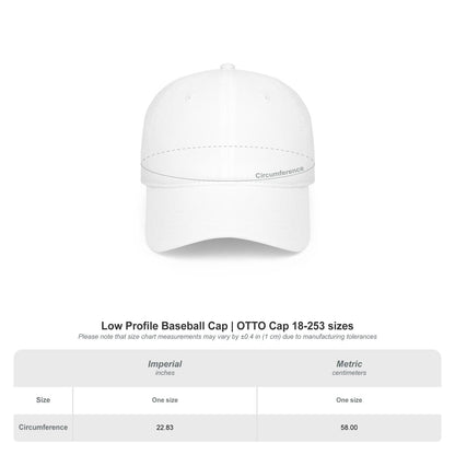 Low Profile Baseball Cap OTTO Cap 18-253 sizes Hat