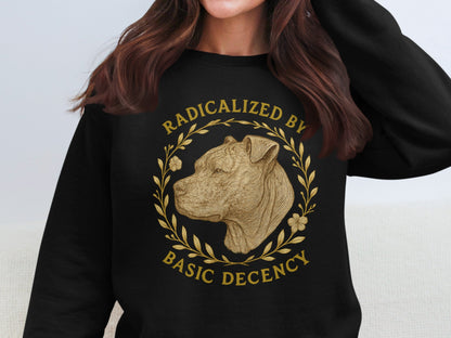 Radicalized By Basic Decency Graphic sweatshirt product type