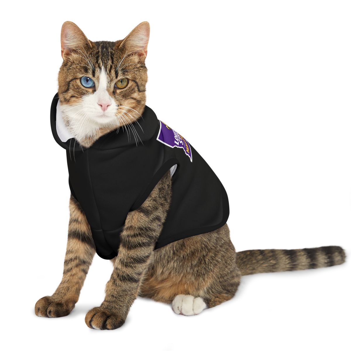 Stylish Cat Wearing Black Hoodie Pet Apparel